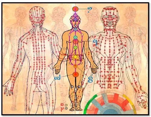 21 chakras secundários