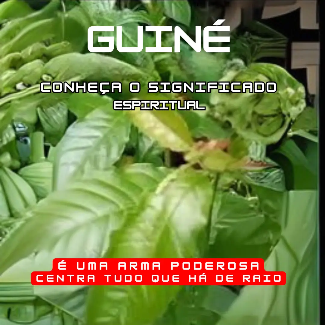 Banho de Guiné